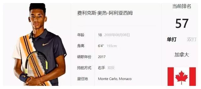 体系严密的 体系严密的