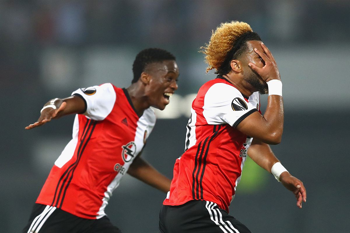 毛球的未来 毛球的未来